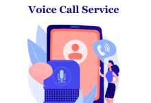 best voice call service provider India