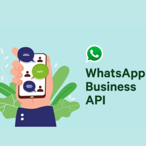 best whatsapp Api provider in India