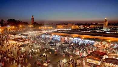 What Makes Marrakech the Perfect Holiday Destination: 16 Fantastic Places to Visit!